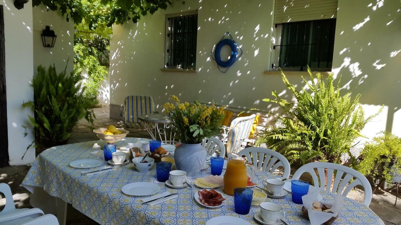 Chalet Junto Playa Y Centro Sanlúcar de Barrameda Dış mekan fotoğraf